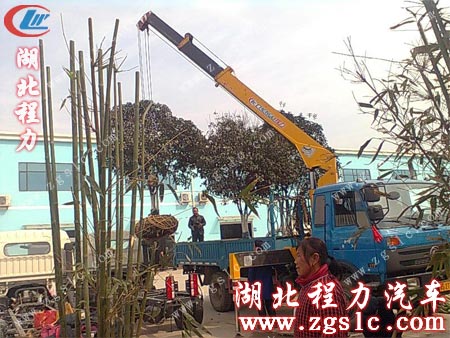 將樹苗移出隨車吊大廂 將樹苗移出隨車吊大廂