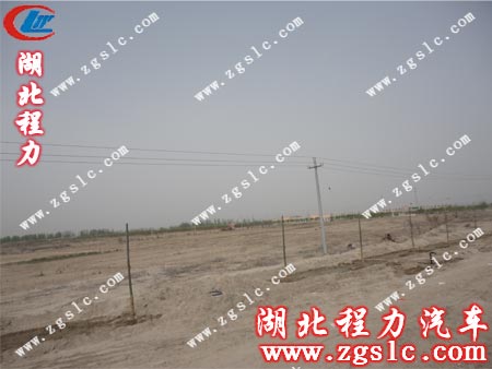 幾處剛澆完水的樹苗格外引人注目 幾處剛澆完水的樹苗格外引人注目