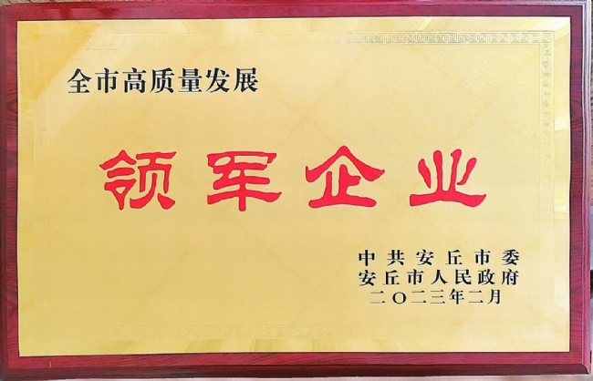 2023 全市高質量發(fā)展領軍企業(yè)